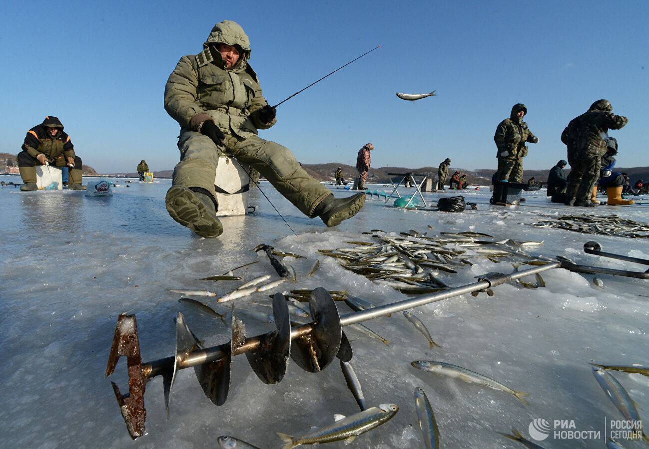 Бердь