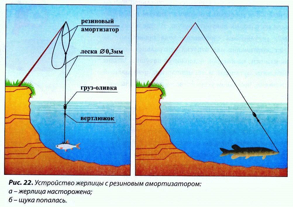 Уловистая снасть на хищную рыбу из пластиковой бутылки
