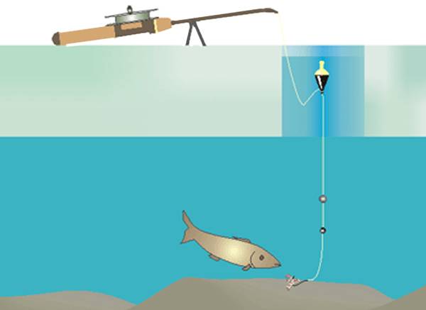  зимней удочки на плотву: виды оснасток и правильное использование
