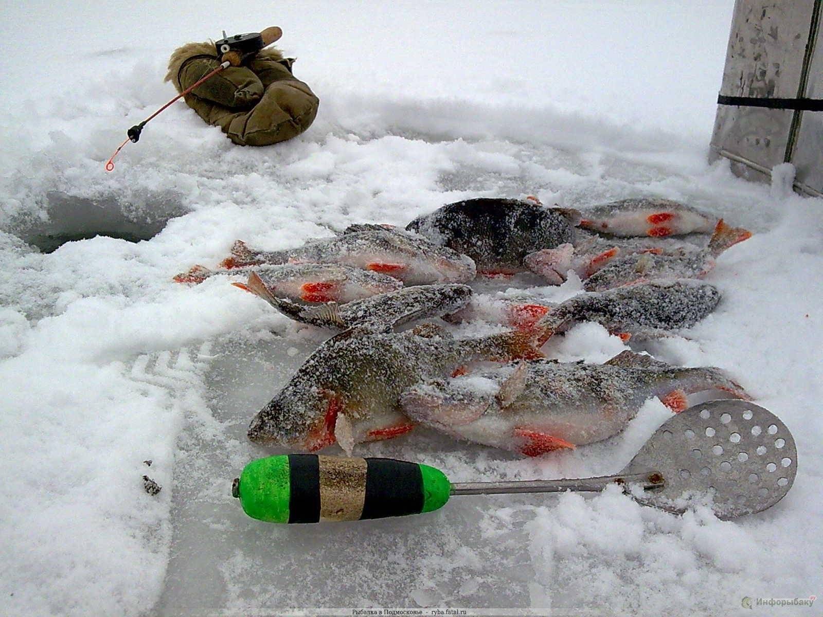 Зимняя рыбалка | ловля рыбы зимой - рыбколов
