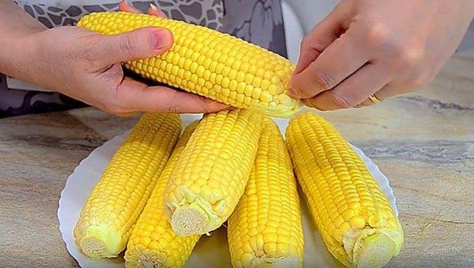 Как сушить кукурузу в домашних условиях, как ее потом варить и сколько, полезные свойства и особенности маиса