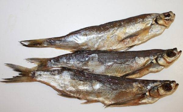 Засолка рыбы в домашних условиях: 4 способа плюс маринад. рыба и морепродукты