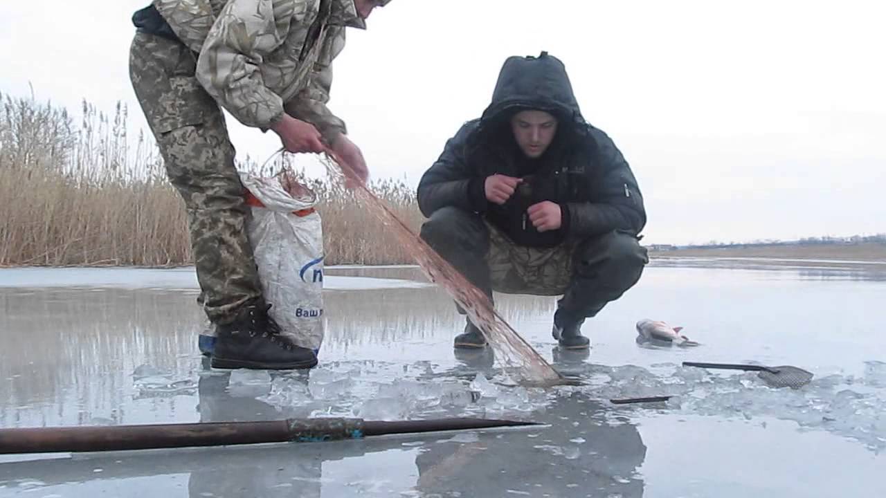 Видео ловли рыбы зимой. Сети для зимней рыбалки. Рыбалка сетями зимой. Сеть для подледной рыбалки. Сетка для зимней рыбалки.