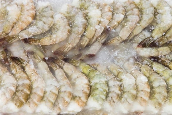 К вопросу скорости роста морской креветки l. vannamei при промышленном выращивании