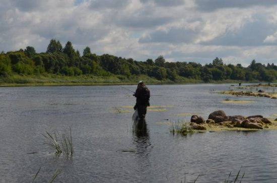 какая рыба водится в реке северная двина и ее притоках. Смотреть фото какая рыба водится в реке северная двина и ее притоках. Смотреть картинку какая рыба водится в реке северная двина и ее притоках. Картинка про какая рыба водится в реке северная двина и ее притоках. Фото какая рыба водится в реке северная двина и ее притоках