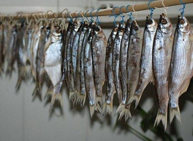 Хранение рыбы: свежая, охлажденная, в холодильнике, без заморозки