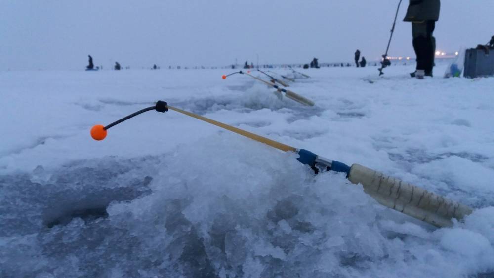 Все, что нужно знать о зимней ловле корюшки на финском заливе.