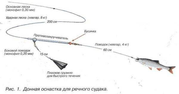 Как приготовить снасть для ловли судака