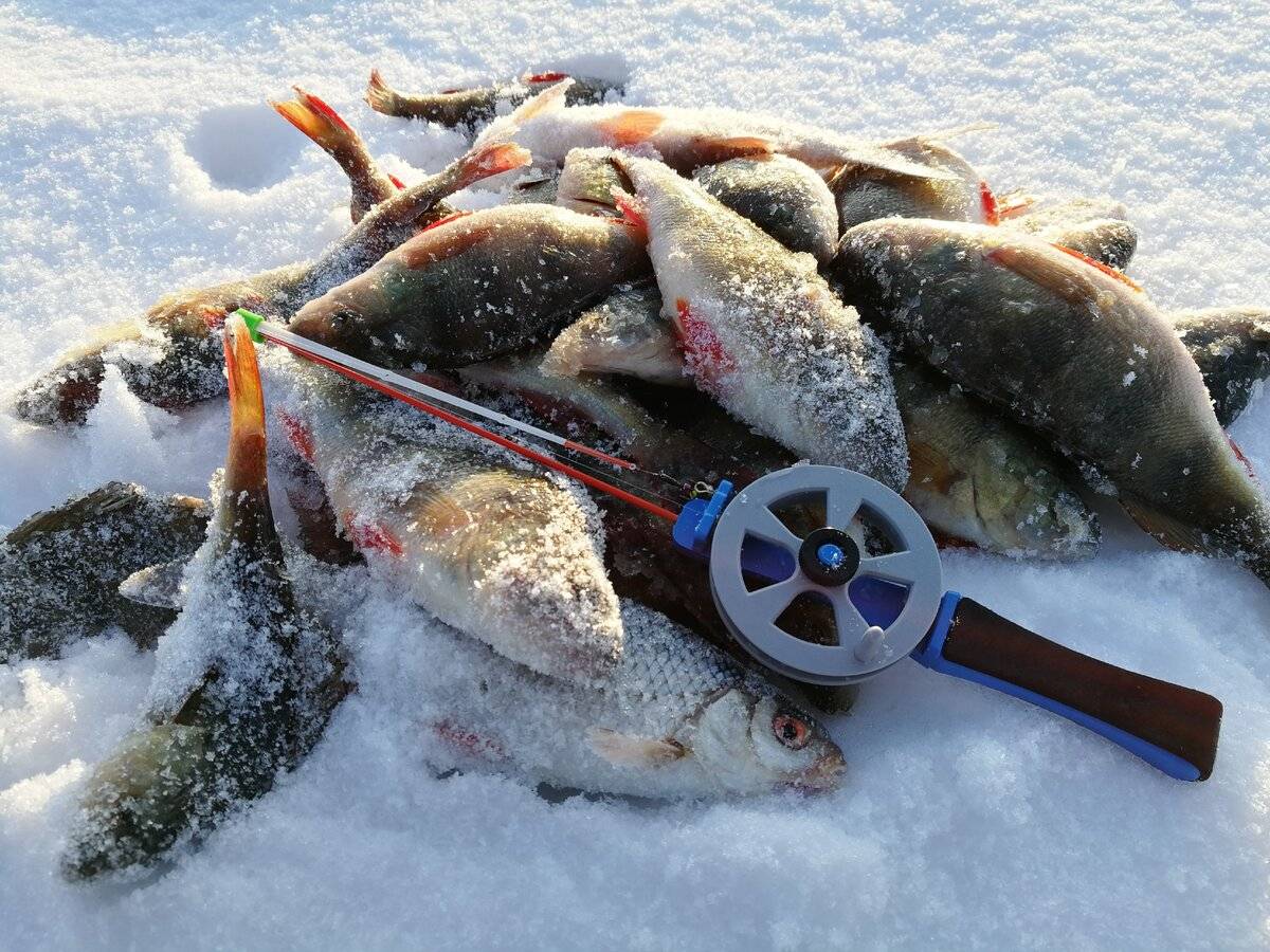 Как я съездил на зимнюю рыбалку и многое понял