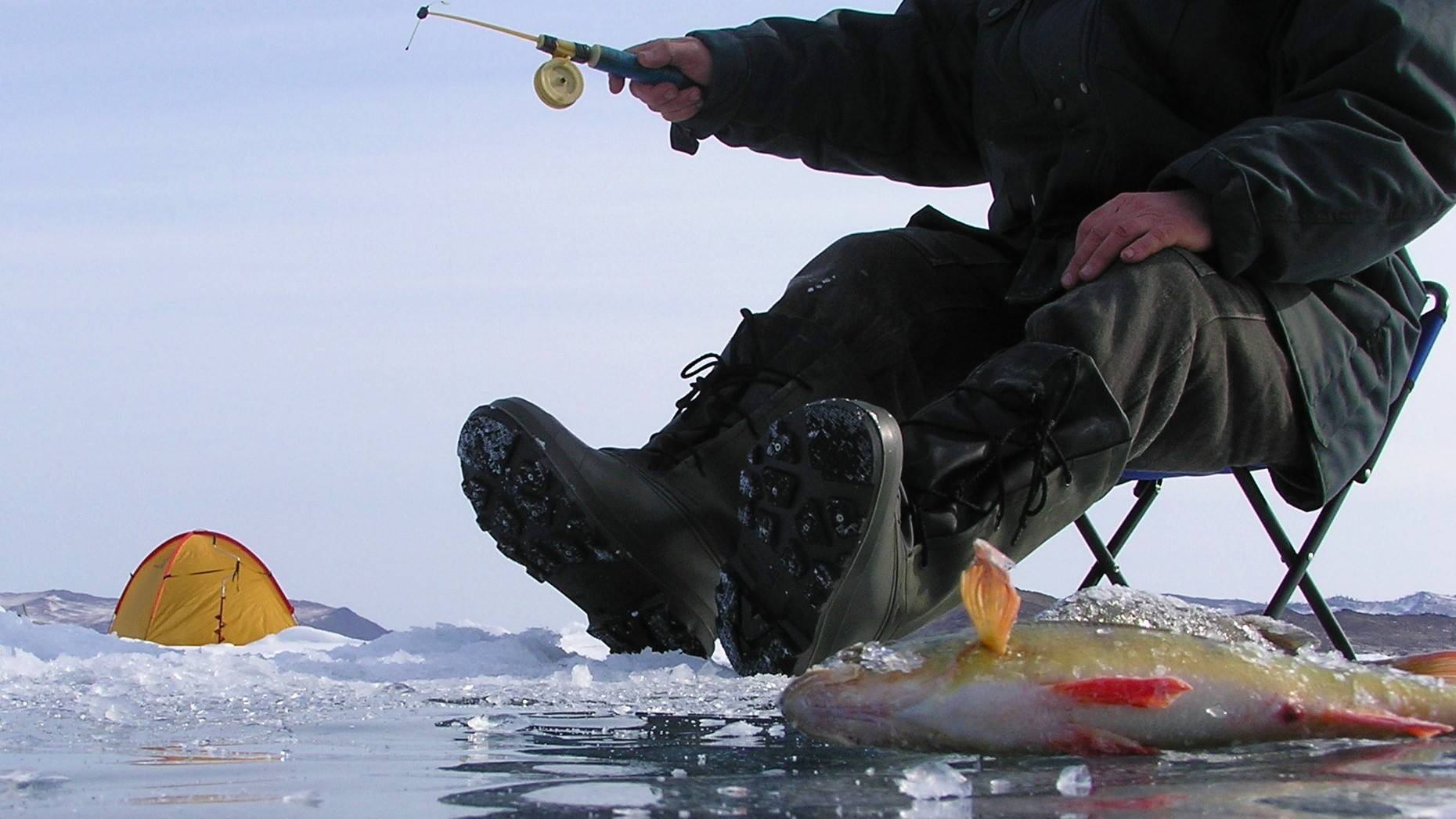 Суши блесну: опасно рыбачить из-за тонкого льда на берди и бердском заливе