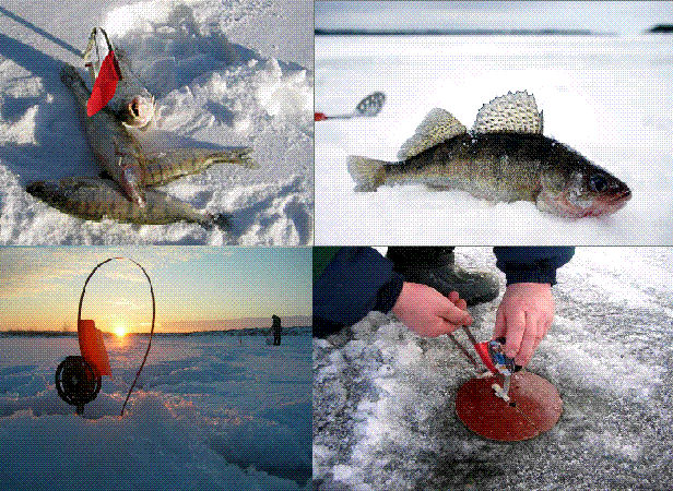 Ловля щуки зимой на жерлицы по первому льду и нюансы рыбалки