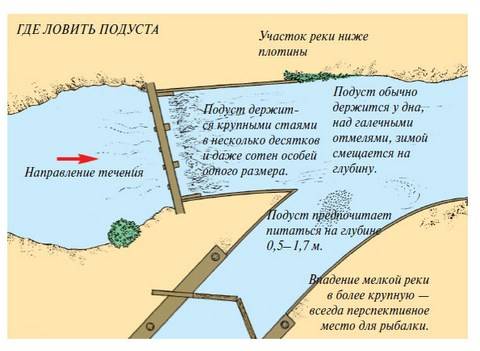 Оснастка зимних удочек для течения