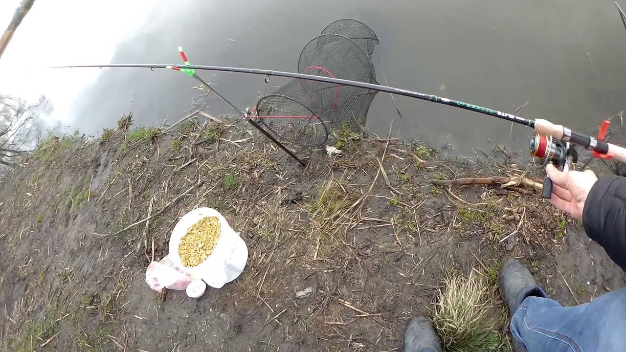 Как поймать осеннего сазана на большой реке, 9 золотых правил от никиты дюпина - статьи о рыбалке