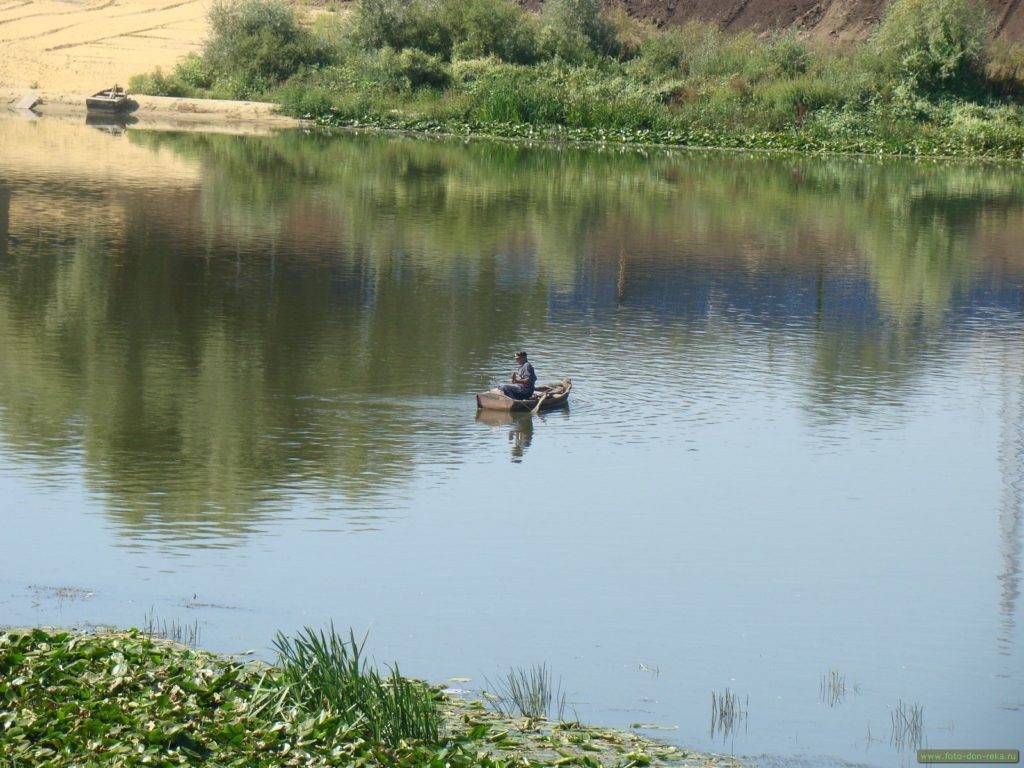 Рыбалка на дону в волгоградской области – куда отправиться?