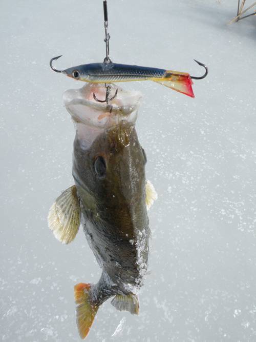 Ловля щуки на балансир зимой. лучшие зимние балансиры на щуку, топ 5 уловистых балансиров для зимней рыбалки