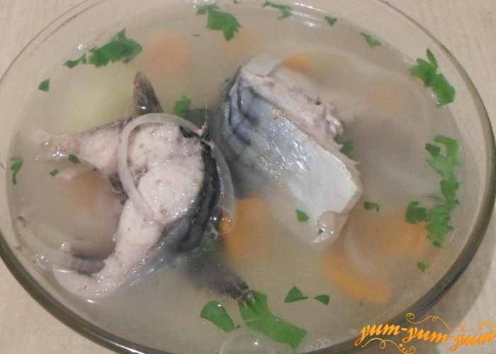 Как приготовить рыбный суп в домашних условиях: простые рецепты ухи из свежемороженой скумбрии