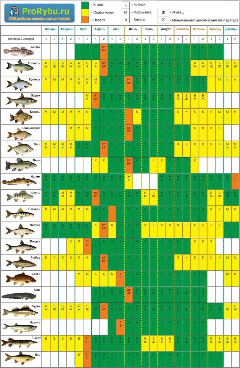 Рыболовный календарь — ловля рыбы в сентябре