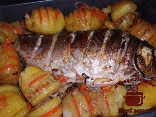 Карп в духовке - рецепты с фото. приготовление запеченной фаршированной рыбы