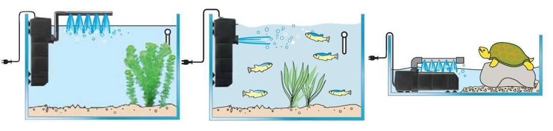 Как установить фильтр в аквариум: правила и инструкция, принцип работы устройства