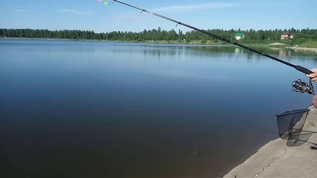 Ловля карася в подмосковье – лучшие водоёмы и их координаты