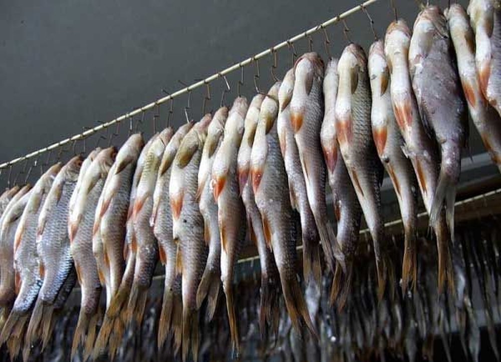 Вяление и сушка рыбы: 6 рецептов заготовок на зиму » сусеки