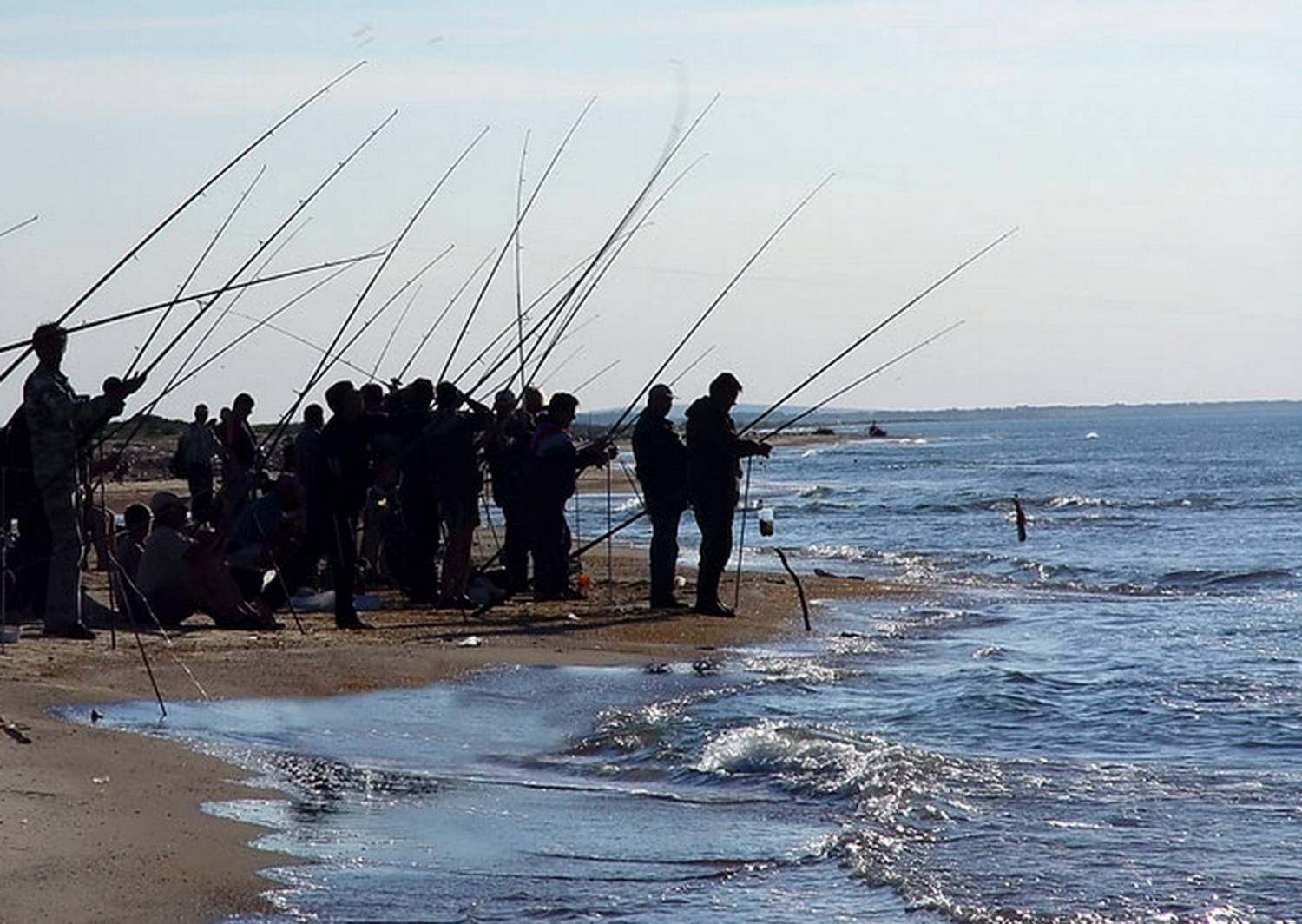 Рыбалка в станице голубицкой краснодарского края, где ловить с берега или лодки