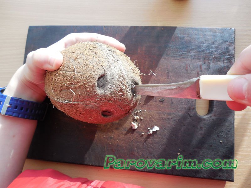 Кокос в аквариуме: как подготовить и обработать своими руками, домики