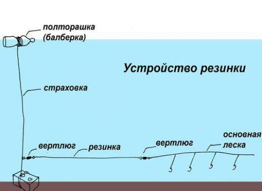 Как ловить чехонь на резинку: настраиваем снасть, подбираем приманки