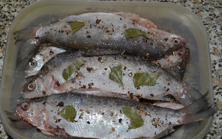 Пелядь (сырок) что за рыба как готовить: полезные советы
