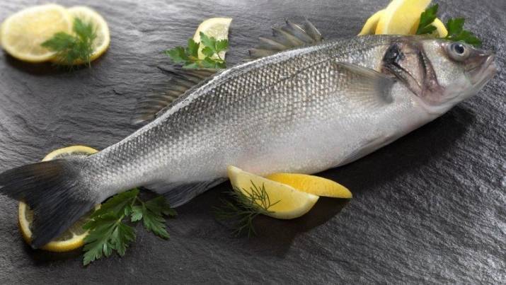 Рыба сибас — полезные свойства и состав