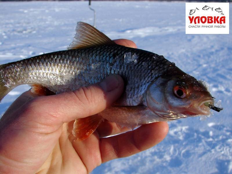Как правильно привязать мормышку с ушком и отверстием