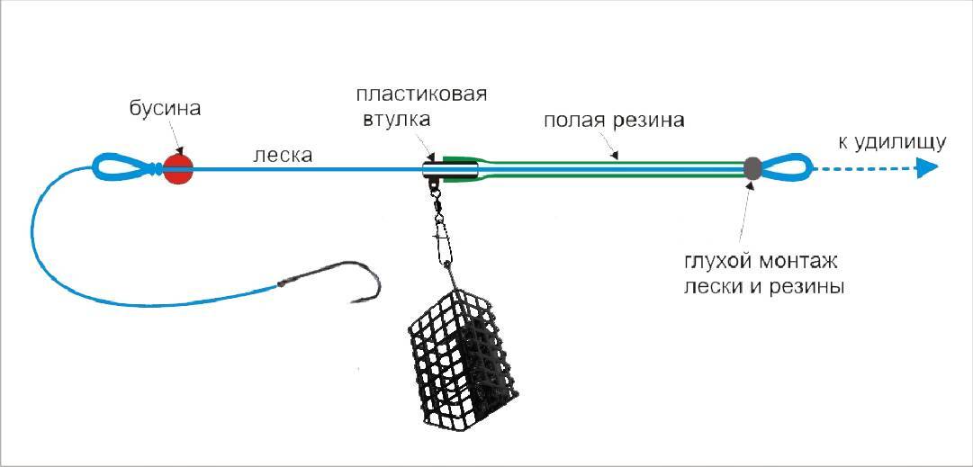 Особенности ловли плотвы на фидер - тактика и снасти