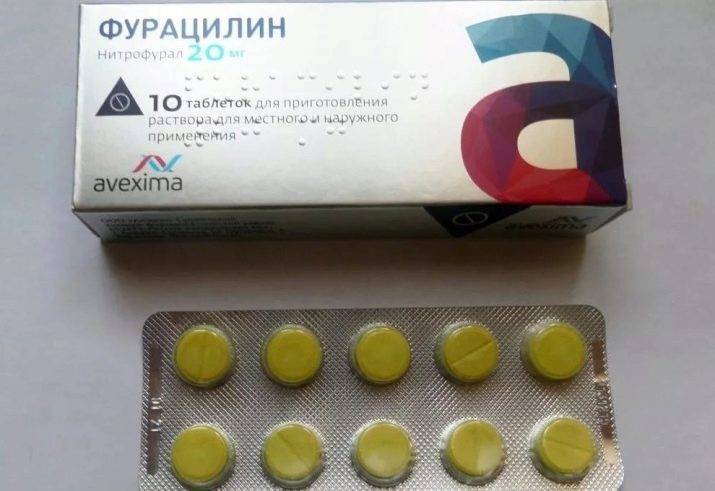 какие рыбы едят черную бороду в аквариуме. Смотреть фото какие рыбы едят черную бороду в аквариуме. Смотреть картинку какие рыбы едят черную бороду в аквариуме. Картинка про какие рыбы едят черную бороду в аквариуме. Фото какие рыбы едят черную бороду в аквариуме