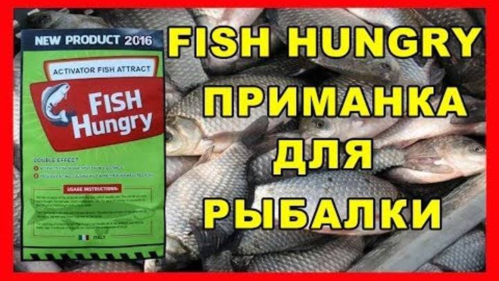 Все про активатор клева fishhungry (голодная рыба). отзывы, видео