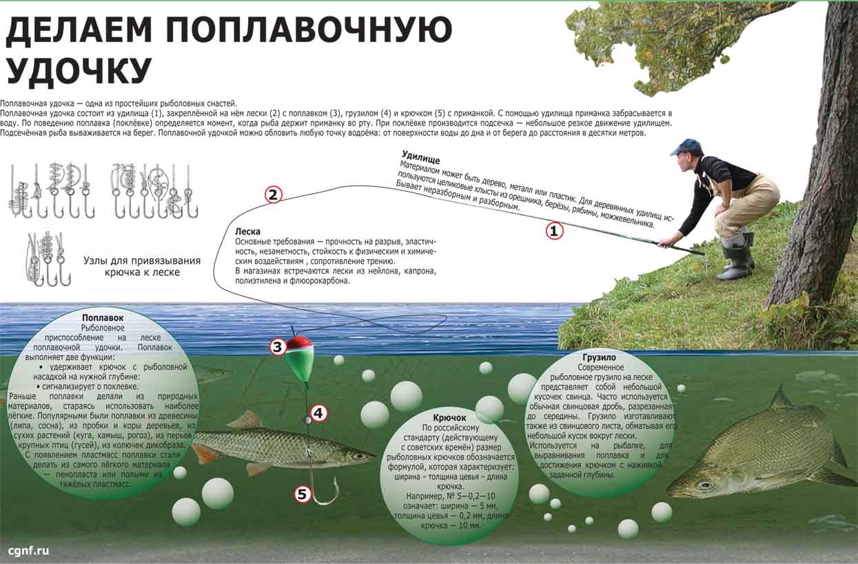 Оснастка поплавочной удочки на карася: крючки, леска, наживка, прикормка