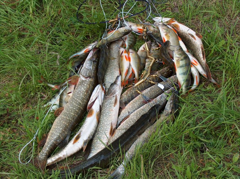 Самые рыбные места в республике удмуртия и сезонный запрет