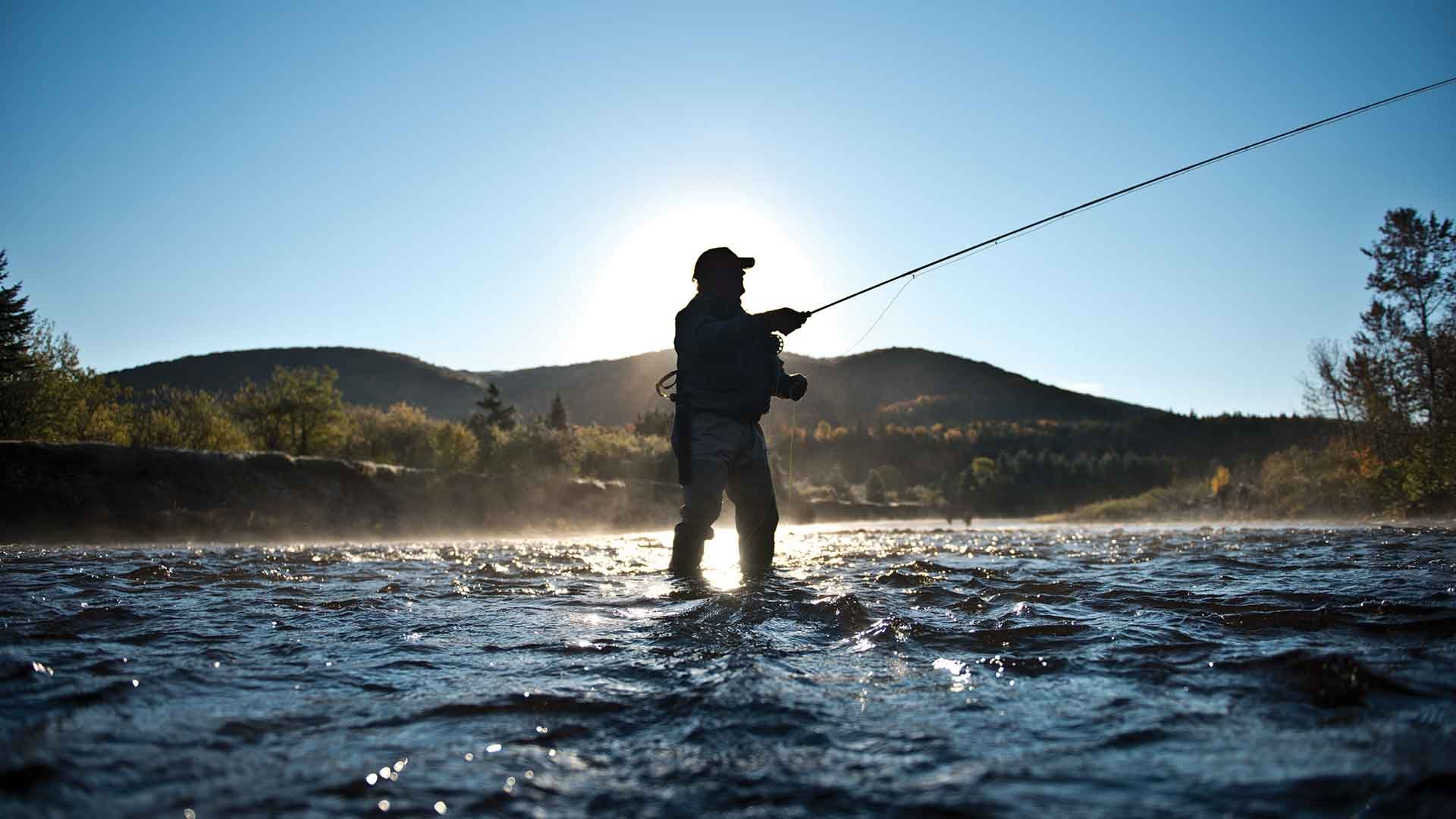 Ловля тайменя на горных реках: особенности рыбы и как ловить