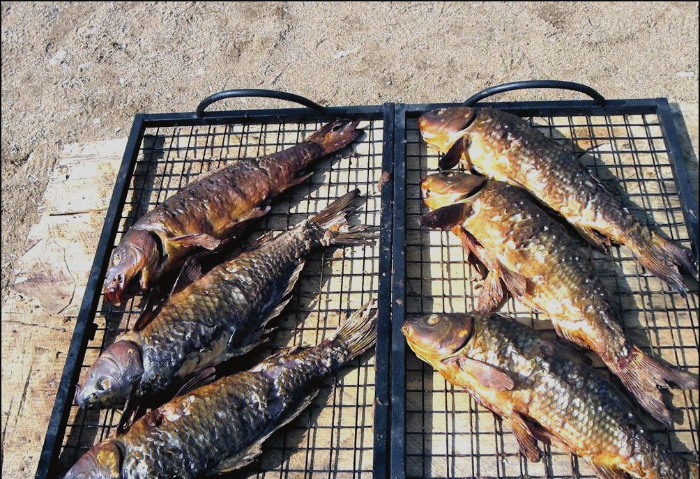 Три пескаря — платная рыбалка в лыткино без нормы вылова
