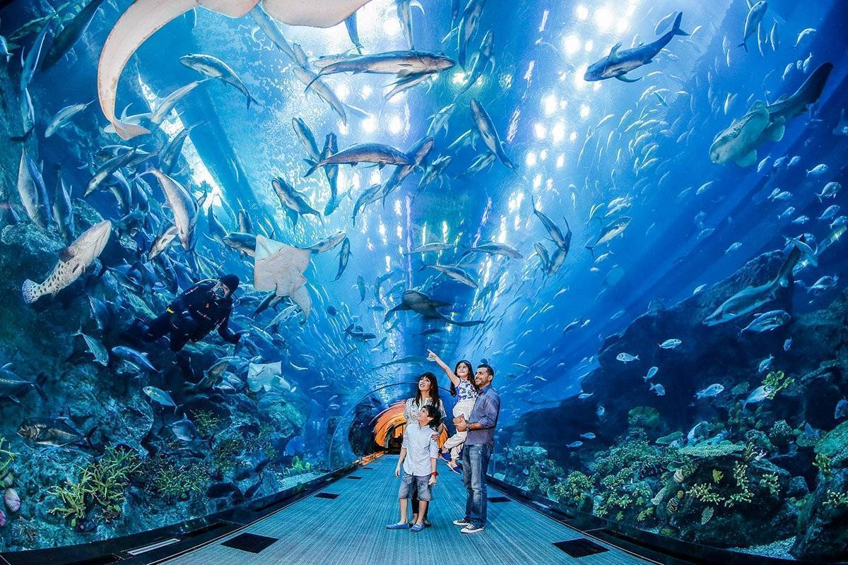 10 самых больших аквариумов в мире в сегодняшнем обзоре аквариумов / статьи / аквариумы и все для аквариумов в интернет-магазине «вушоп»