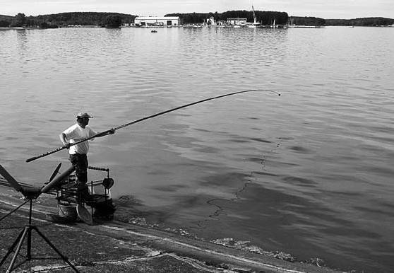 Рыбалка на спиннинг с берега: как правильно закидывать и как ловить рыбу на спиннинг, спиннинговая рыбалка для начинающих и продвинутых - как правильно рыбачить на спиннинговую снасть