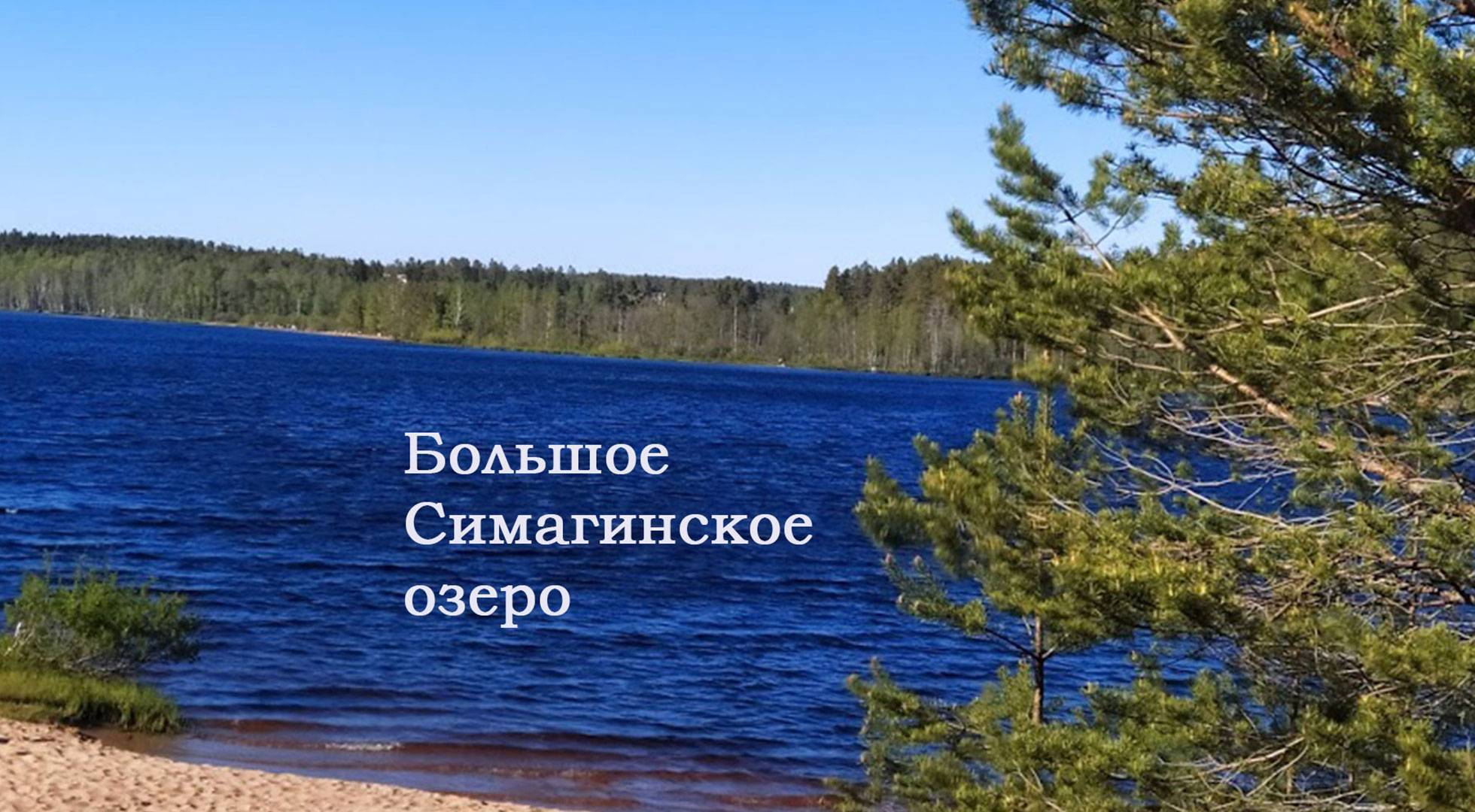 Большое Симагинское озеро Ленинградская область рыбалка