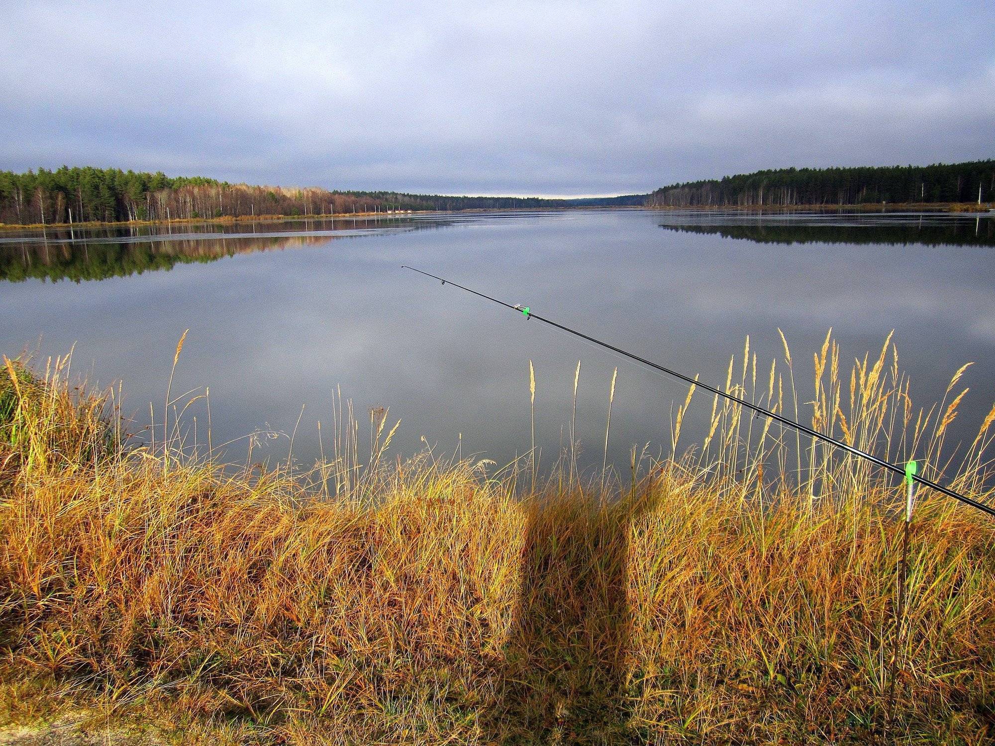 Рыбалка в нижнем новгороде и нижегородской области: рыболовные места в криушах и «чистые пруды», в хмелевой поляне и другие места