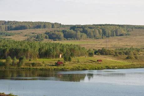 прудовая рыба в нижнем новгороде. Смотреть фото прудовая рыба в нижнем новгороде. Смотреть картинку прудовая рыба в нижнем новгороде. Картинка про прудовая рыба в нижнем новгороде. Фото прудовая рыба в нижнем новгороде