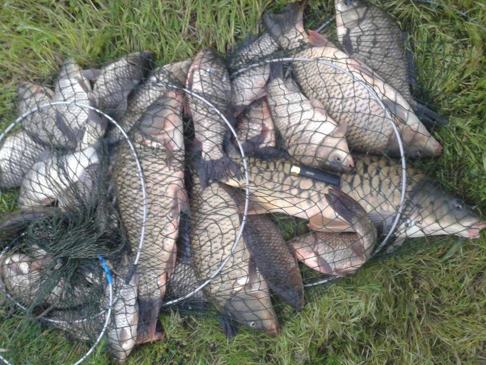 12 лучших рыболовных мест ростовской области – рыбалке.нет