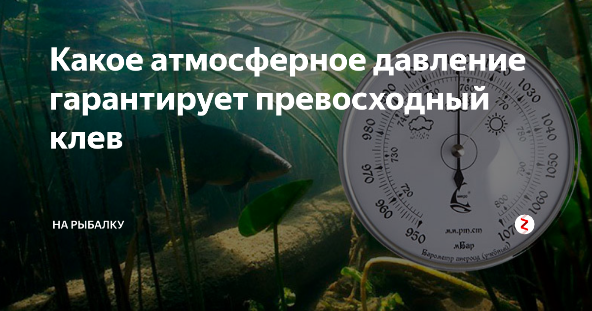 При каком давлении лучше рыбалка зимой