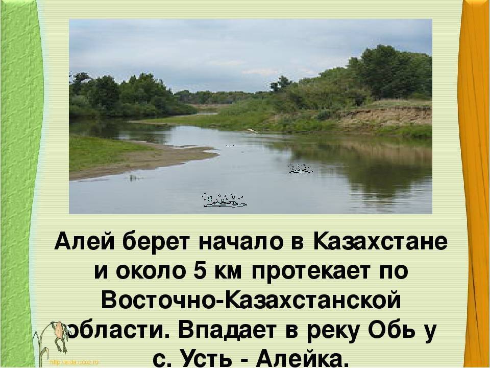 Река Алей Алтайского края: местоположение, фото, описание
