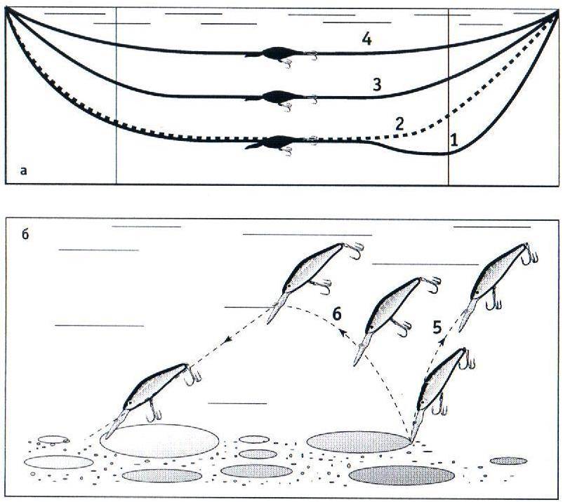 Проводки на щуку: 6 типов проводки для стопроцентного улова