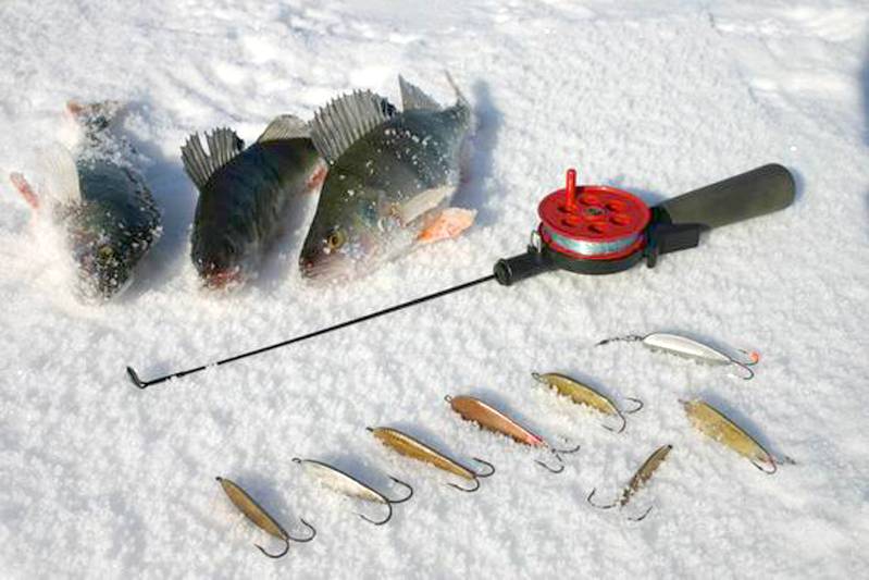 Зимняя рыбалка в карелии | цены на рыбалку зимой с арендой дома на базе отдыха: отзывы