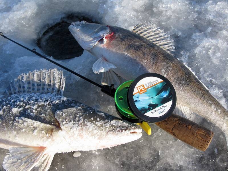 Зимняя удочка на судака: как сделать своими руками для ловли зимой