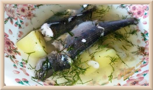 Рыба хариус – описание продукта с фото, калорийность; как ловить и приготовить; польза и вред